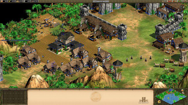 Gameplay screenshot from Age of Empires II