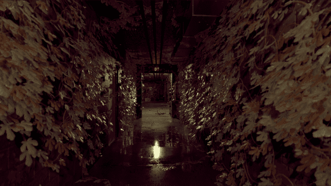 SOLO game screenshot