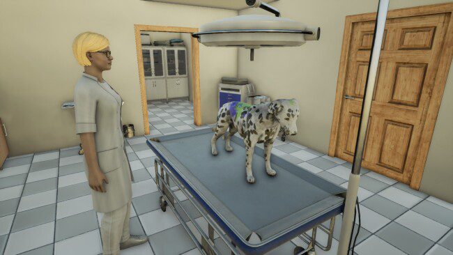 Screenshot of Animal Doctor game