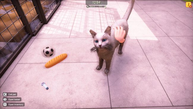 Screenshot of Animal Shelter game