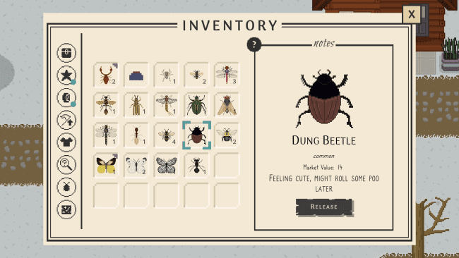 Bug & Seek game screenshot