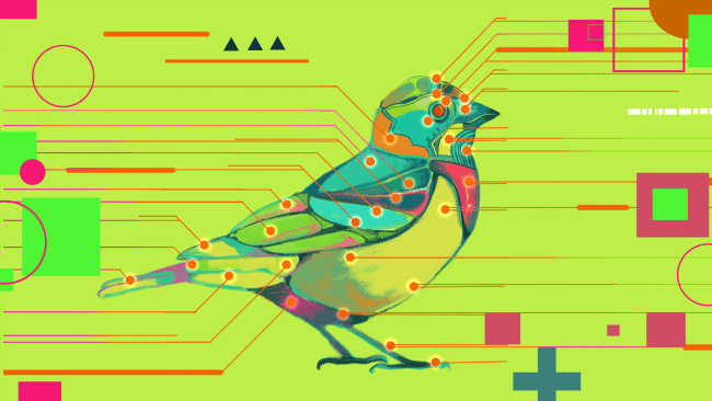 Capture d'écran de PC Avian Enigma