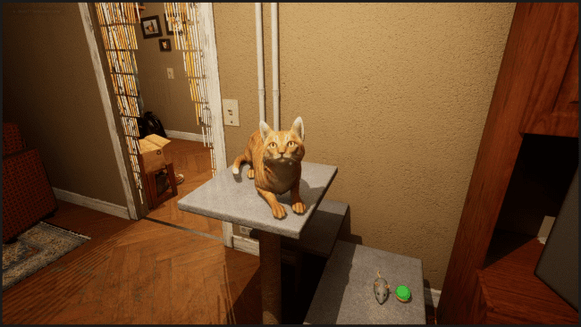 Cartier game screenshot