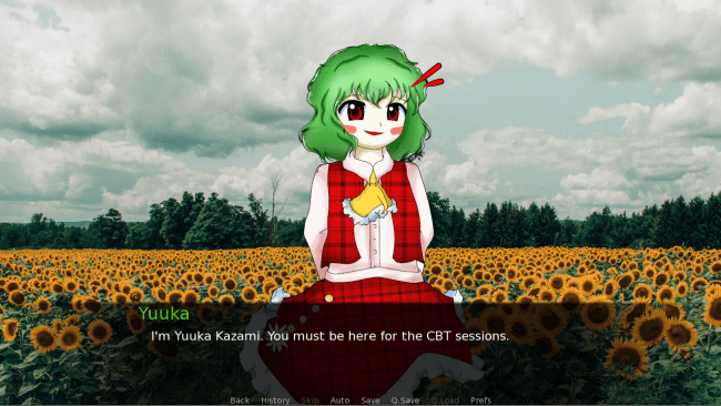 Screenshot of CBT game with Yuuka Kazami