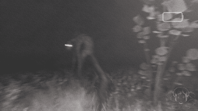 Captura de tela do jogo CONTORTED