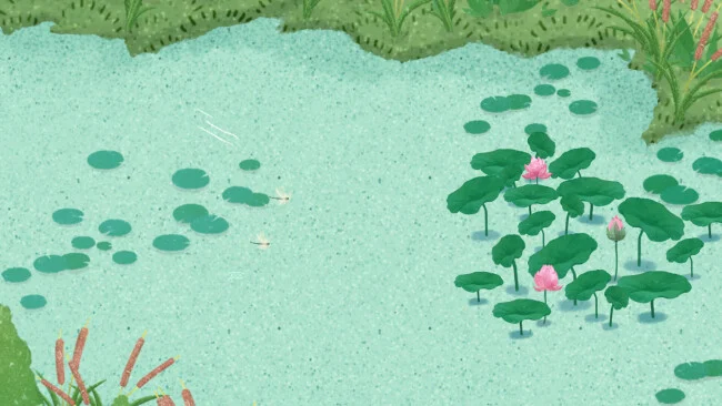 Güneş terimleri oyununun ekran görüntüsü