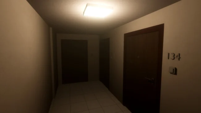 Captura de pantalla del juego después de la transmisión