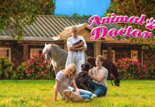 Animal Doctor PC Download Free
