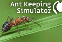 Ant Keeping Simulator PC Download Free