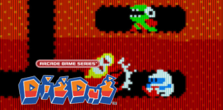 ARCADE GAME SERIES: DIG DUG PC Download Free