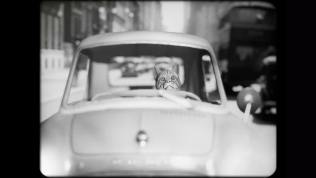 Captura de pantalla del detective gato Albert Wilde para PC