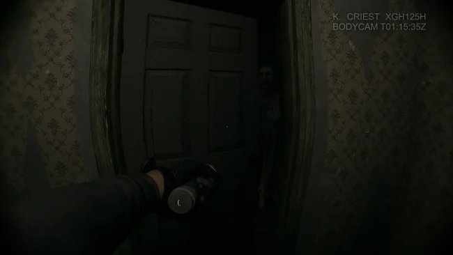 Capture d'écran du jeu Baisu