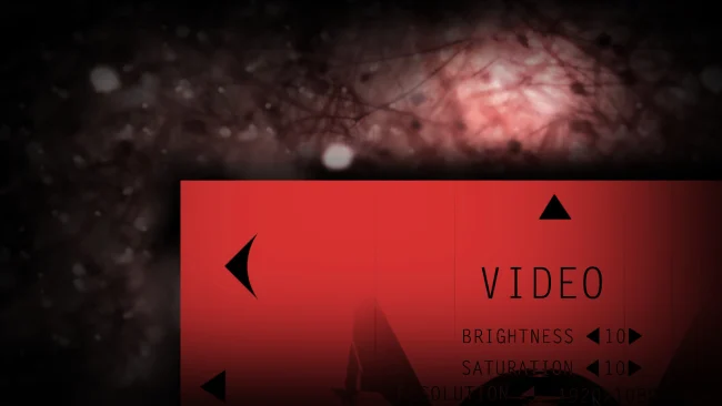 CALENDULA game screenshot