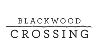 Blackwood Crossing Indir PC Full Oyun