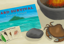 Card Survival: Tropical Island (v1.05o) PC Download Free