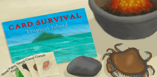 Card Survival: Tropical Island (v1.05o) Baixar PC Gratis
