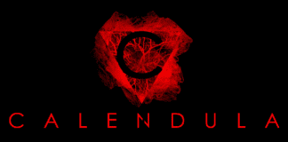 CALENDULA Indir PC Full Oyun