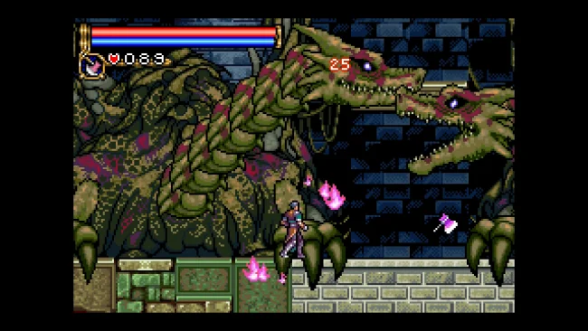 Capture d'écran du gameplay de Castlevania Advance Collection