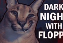 DARK NIGHT WITH FLOPPA Descargar PC Gratis