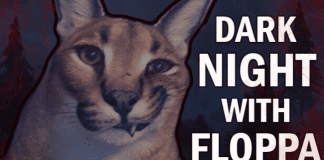 DARK NIGHT WITH FLOPPA Descargar PC Gratis