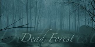 Dead Forest Descargar PC Gratis