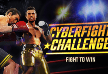 Cyber Fight Challenge PC Download Free