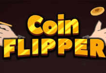 Télécharger Coin Flipper (v1.0) PC Gratuit
