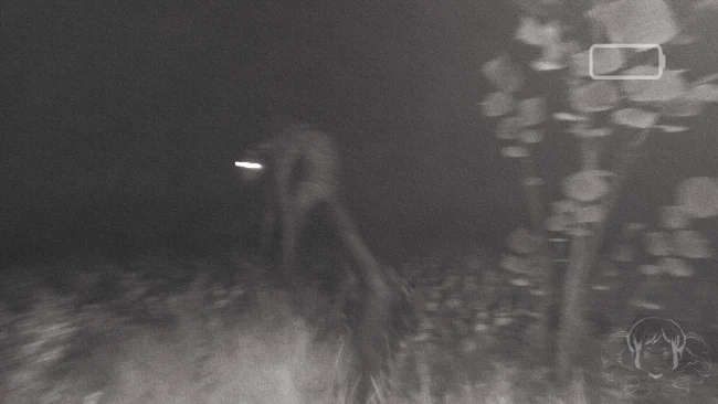 CONTORTED oyununun ekran görüntüsü