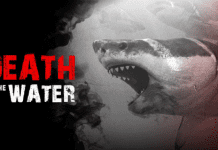 Death in the Water PC Download Free