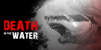 Death in the Water PC Download Free