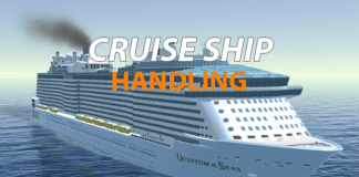 Cruise Ship Handling Indir PC Full Oyun