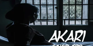 Akari: School Trip Indir PC Full Oyun