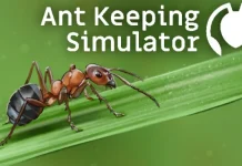 Ant Keeping Simulator Indir PC Full Oyun