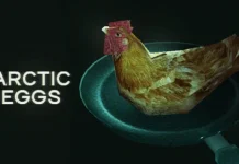 Arctic Eggs Indir PC Full Oyun