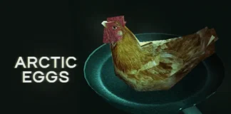 Arctic Eggs Descargar PC Gratis