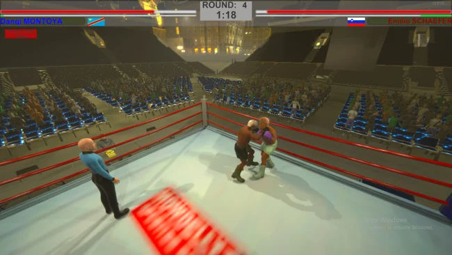 Capture d'écran de L'Art de la Boxe pour PC