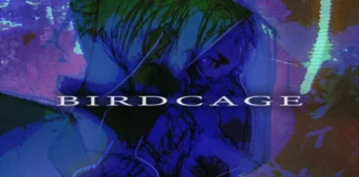 BIRDCAGE (v1.0.8) Indir PC Full Oyun