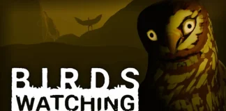 Birds Watching Indir PC Full Oyun