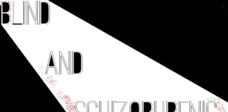 Télécharger Blind And Schizophrenic PC Gratuit