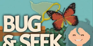 Bug & Seek Indir PC Full Oyun