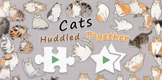 Cats Huddled Together Baixar PC Gratis