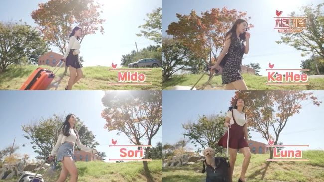 Chicken Game Game Screenshot