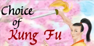 Choice of Kung Fu Descargar PC Gratis
