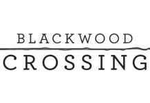 Télécharger Blackwood Crossing PC Gratuit