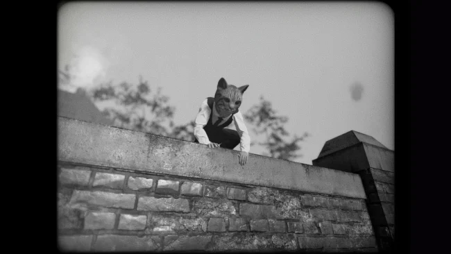 Capture d'écran du jeu Cat Detective Albert Wilde